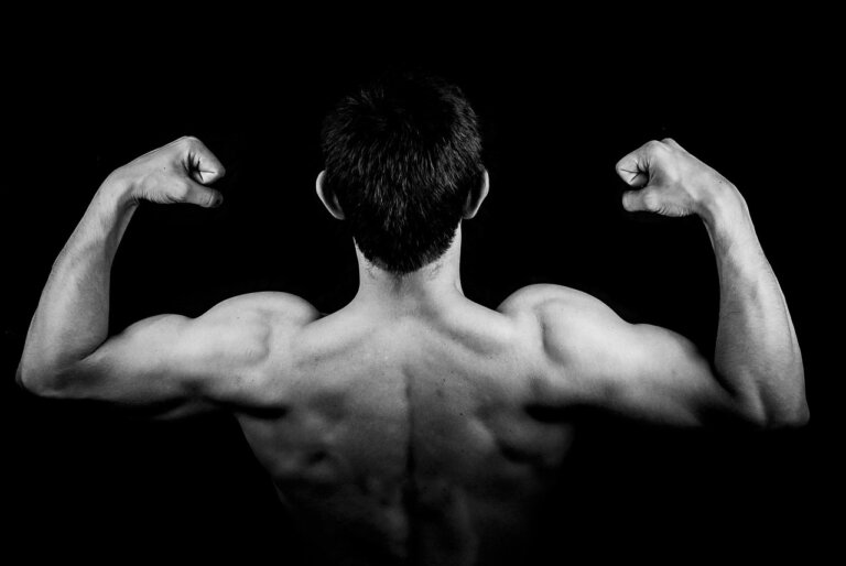 Mięśnie działają jak narząd hormonalny, a miokiny wpływają na mózg, odporność i metabolizm. Ruch okazuje się biologiczną koniecznością, nie wyborem.