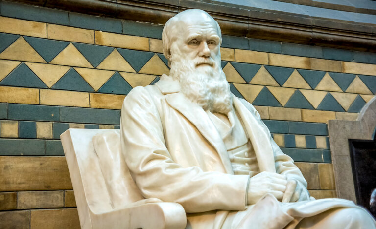 Jan ŚLIWA: Nowe spojrzenia na teorię ewolucji