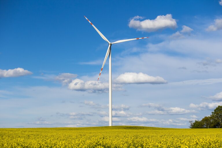światowy system elektroenergetyczny