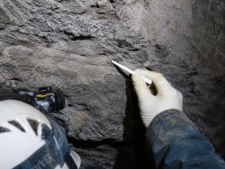 prehistoryczne ludzkie DNA