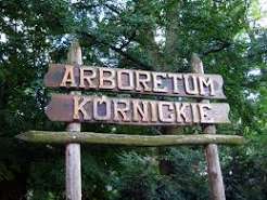 Arboretum Kórnickie świętuje 200. urodziny