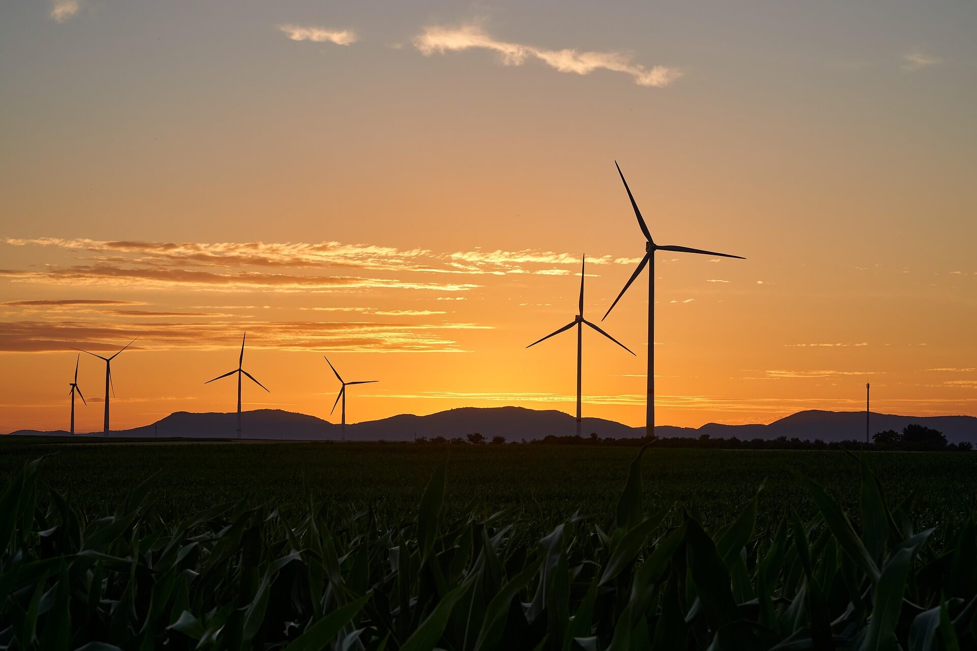 Model WSU ma pomóc przygotować sieć energetyczną na ekstremalną pogodę