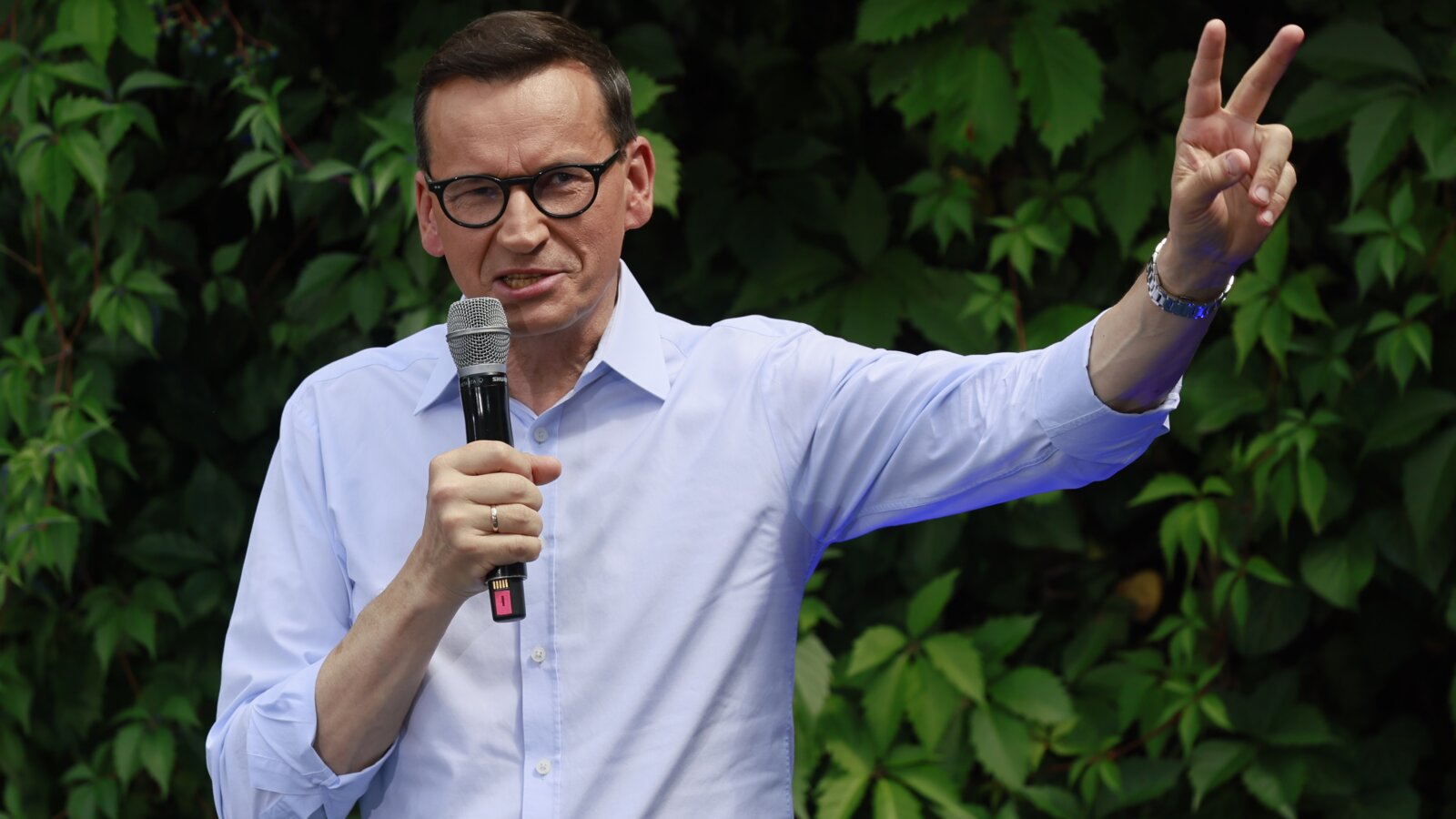 grill Morawieckiego