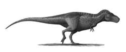 Naukowcy po raz pierwszy zbadali temperaturę ciała Tyranozaura