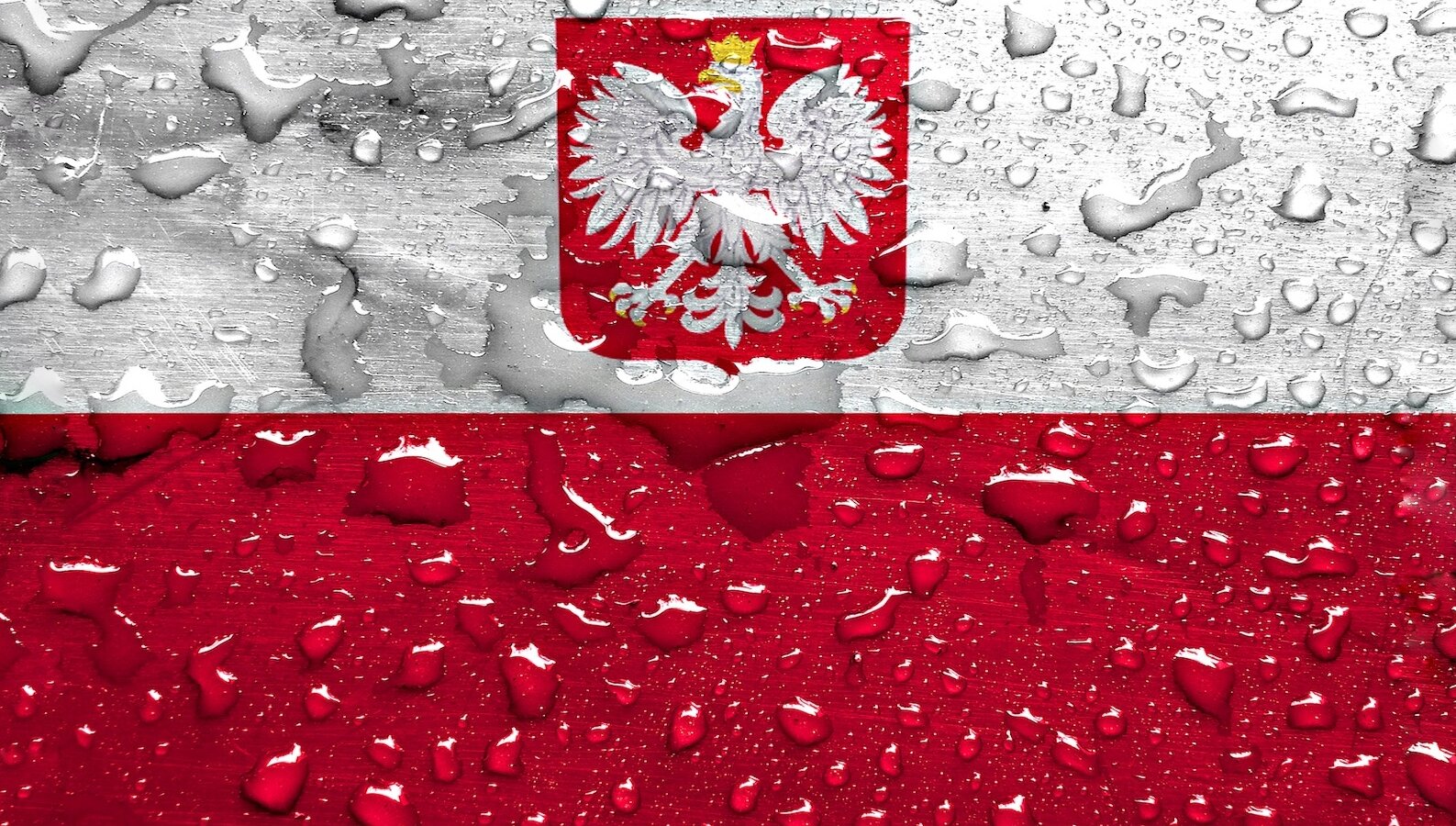 Prof. Piotr CZAUDERNA: Non Possumus!