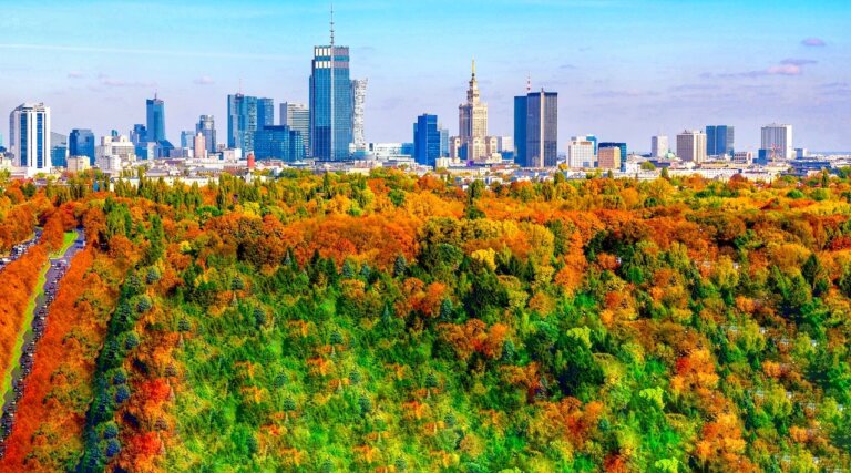 Ankieta Makroekonomiczna NBP wrzesień 2026