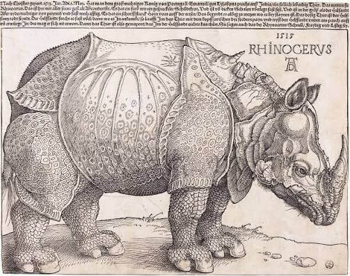 Albrecht Dürer w Muzeum w Bielsku-Białej