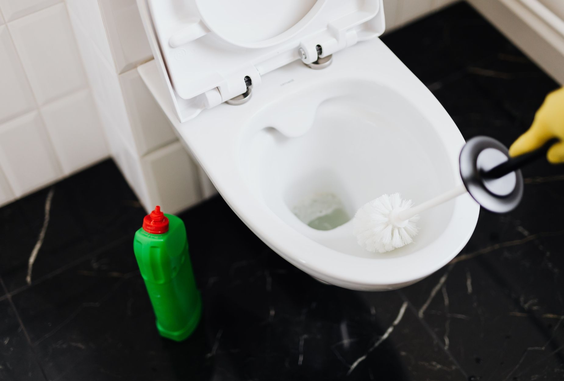 Quality Plumbing Solutions for Every Household Need